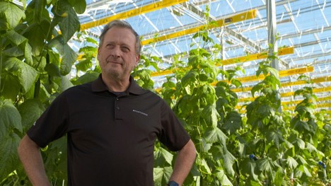 “We often hear: ‘Your LED lights give more light than you promise'”