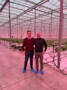 Two men standing in a greenhouse lit by LED grow lights