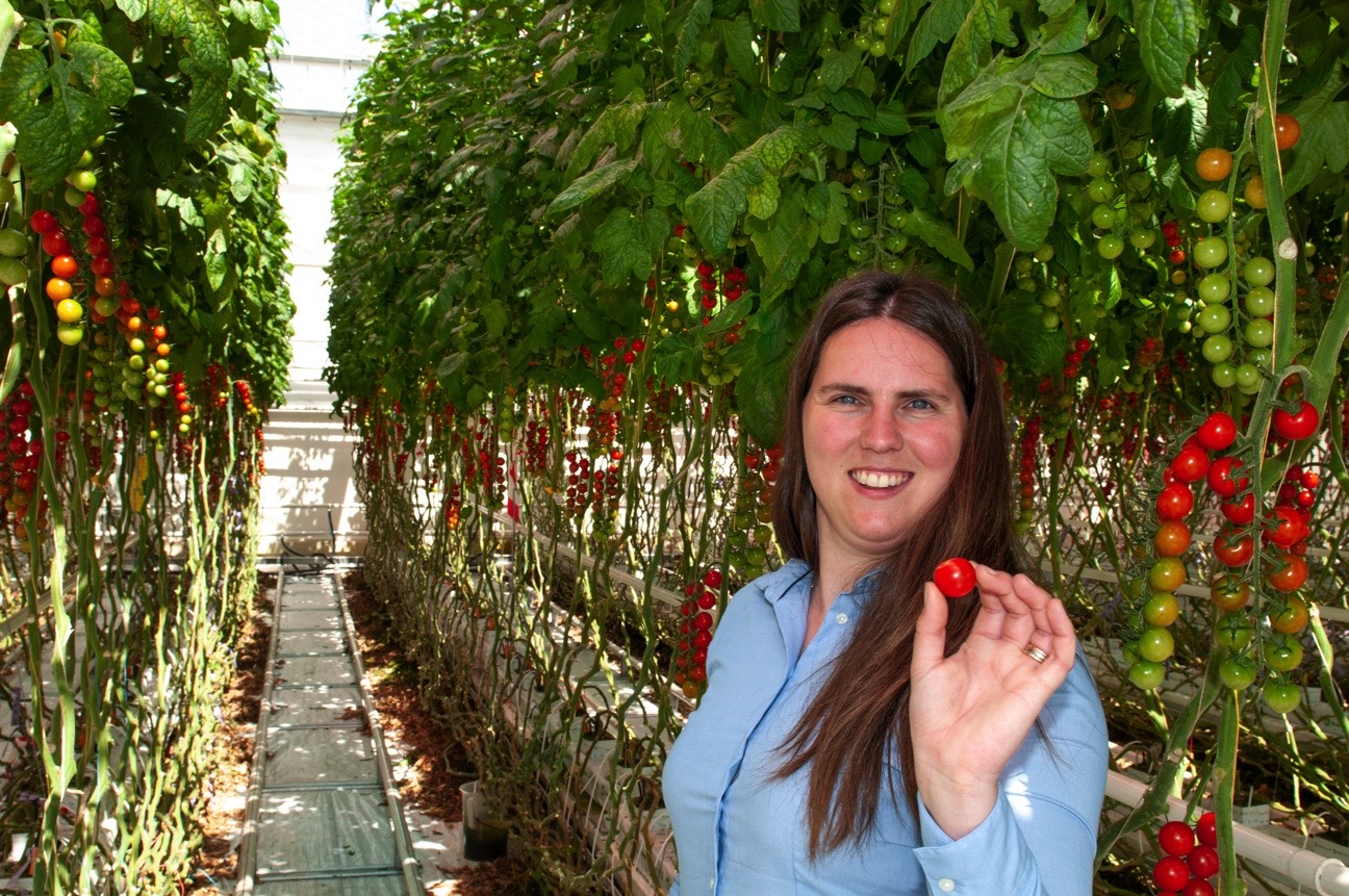Press Release: Gavita International BV strengthens Plant Specialist Team