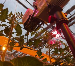 Plant_Lighting_LBE_LED_hybride