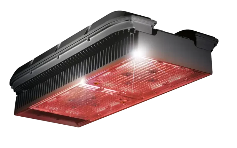 PLUS-ECO-DUAL-CHANNEL